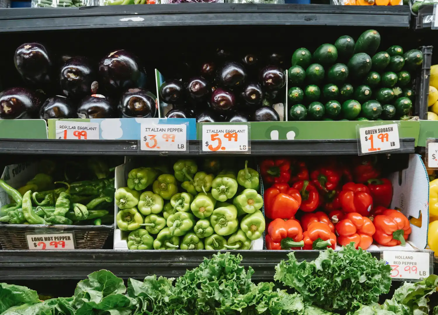 healthy grocery shopping